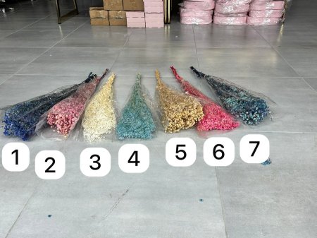مجففات